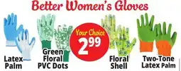 Ocean State Job Lot Better Women's Gloves offer