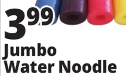 Ocean State Job Lot Jumbo Water Noodle offer