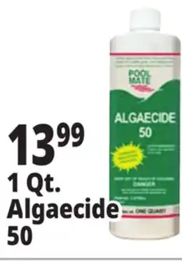 Ocean State Job Lot 1 Qt. AAlgaecide 50 offer