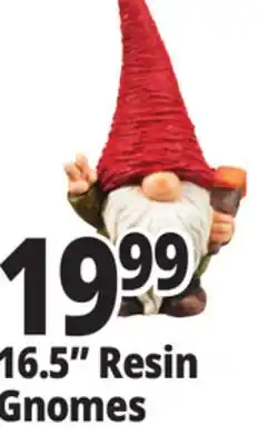Ocean State Job Lot 16.5 Resin Gnomes offer