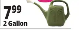 Ocean State Job Lot Watering Cans offer