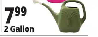 Ocean State Job Lot Watering Cans offer