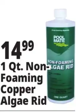 Ocean State Job Lot 1 Qt. Non- Foaming Copper Algae Rid offer