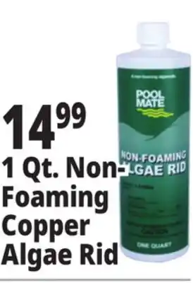 Ocean State Job Lot 1 Qt. Non- Foaming Copper Algae Rid offer
