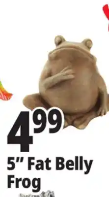 Ocean State Job Lot 5 Fat Belly Frog offer