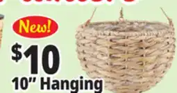 Ocean State Job Lot 10 Hanging planters offer