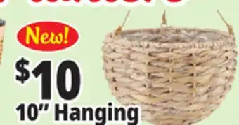 Ocean State Job Lot 10 Hanging planters offer