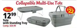 Ocean State Job Lot Tote with Standing Tray offer