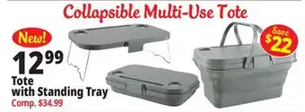 Ocean State Job Lot Tote with Standing Tray offer