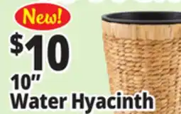 Ocean State Job Lot 10 Water Hyacinth offer
