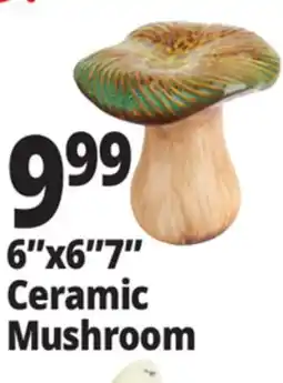 Ocean State Job Lot 6x67 Ceramic Mushroom offer