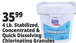 Ocean State Job Lot 4 Lb. Stabilized Concentrated & Quick Dissolving Chlorinating Granules offer