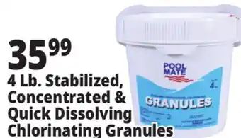 Ocean State Job Lot 4 Lb. Stabilized Concentrated & Quick Dissolving Chlorinating Granules offer