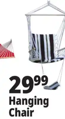 Ocean State Job Lot Hanging Chair offer