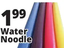 Ocean State Job Lot Water Noodle offer