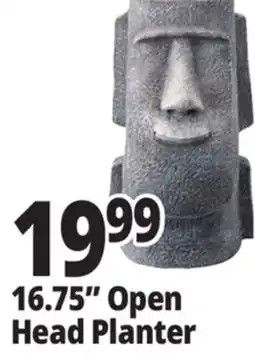 Ocean State Job Lot 16.75 Open Head Planter offer