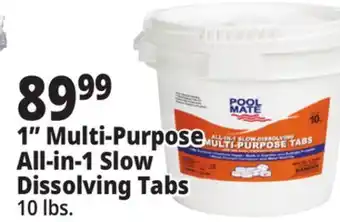 Ocean State Job Lot 1 Multi-Purpose All-in-1 Slow Dissolving Tabs offer