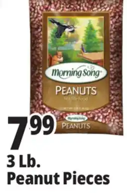 Ocean State Job Lot 3 Lb. Peanut Pieces offer