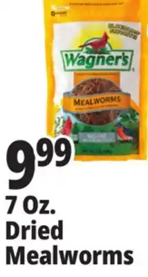 Ocean State Job Lot Dried Mealworms offer