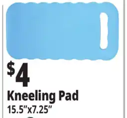 Ocean State Job Lot Kneeling Pad offer