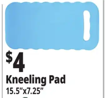 Ocean State Job Lot Kneeling Pad offer