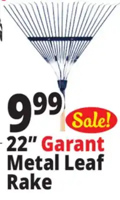 Ocean State Job Lot 22 Metal Leaf Rake offer