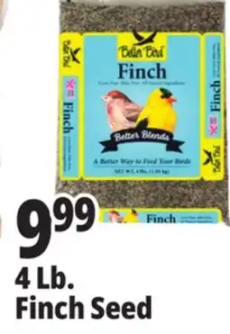 Ocean State Job Lot 4 Lb. Finch Seed offer
