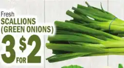 Bravo Supermarkets SCALLIONS (GREEN ONIONS) offer