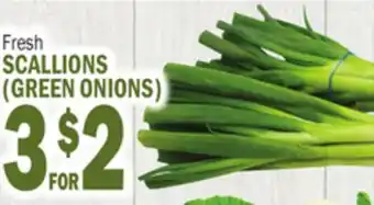 Bravo Supermarkets SCALLIONS (GREEN ONIONS) offer