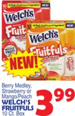 Bravo Supermarkets WELCH'S FRUITFULS offer