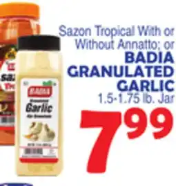 Bravo Supermarkets BADIA GRANULATED GARLIC offer