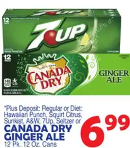 Bravo Supermarkets CANADA DRY GINGER ALE offer