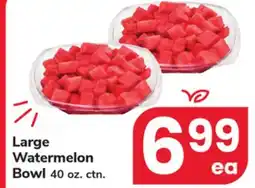 ACME Large Watermelon Bowl offer