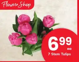 ACME 7 Stem Tulips offer