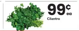 ACME Cilantro offer