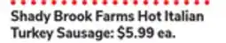 ACME Shady Brook Farms Hot Italian Turkey Sausage offer