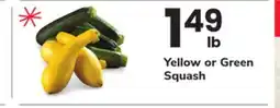 ACME Yellow or Green Squash offer