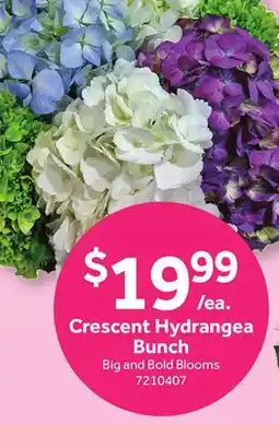 Stop&Shop Crescent Hydrangea Bunch offer