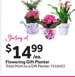 Stop&Shop Flowering Gift Planter Treat offer
