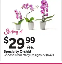 Stop&Shop Specialty Orchid offer