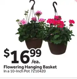 Stop&Shop Flowering Hanging Basket offer
