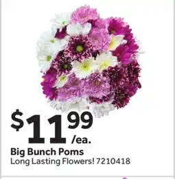 Stop&Shop Big Bunch Poms offer