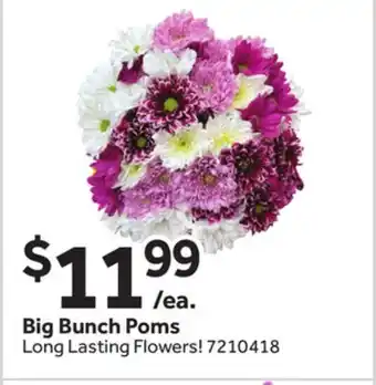 Stop&Shop Big Bunch Poms offer