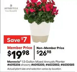 Lowe's Monrovia 1.5-Gallon Mixed Annuals Planter offer