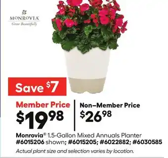 Lowe's Monrovia 1.5-Gallon Mixed Annuals Planter offer