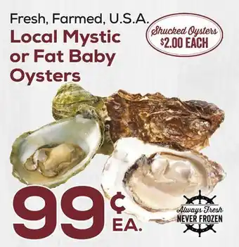 DeCicco & Sons Local Mystic or Fat Baby Oysters offer