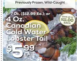 DeCicco & Sons Canadian Cold Water Lobster Tail offer