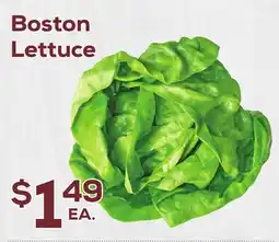 DeCicco & Sons Boston Lettuce offer