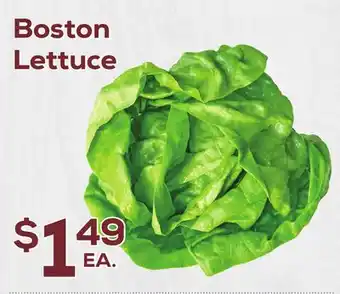 DeCicco & Sons Boston Lettuce offer