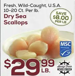 DeCicco & Sons Dry Sea Scallops offer